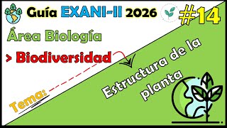 Curso EXANI II 2025 Biología Biodiversidad: Estructura de la planta #14