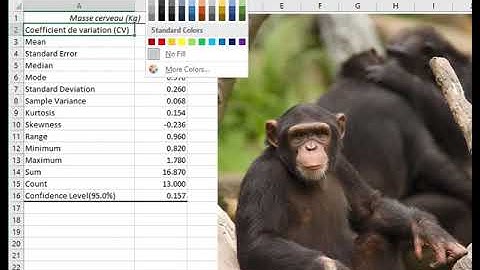 EXCEL (tutoriel)/ statistiques descriptives et interprétations