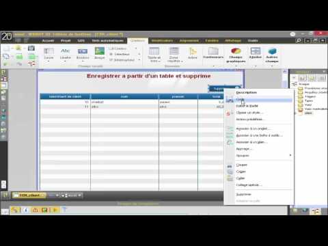 cours de windev
