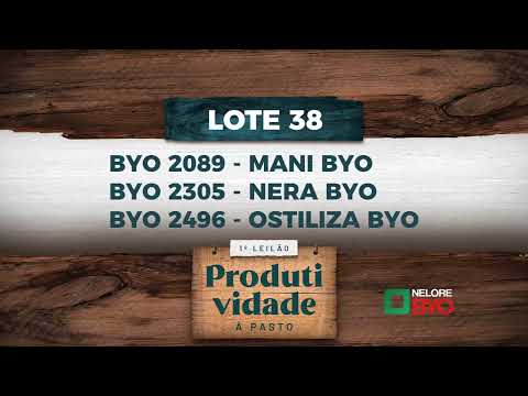 LOTE 38   BYO 2305,2089,2496