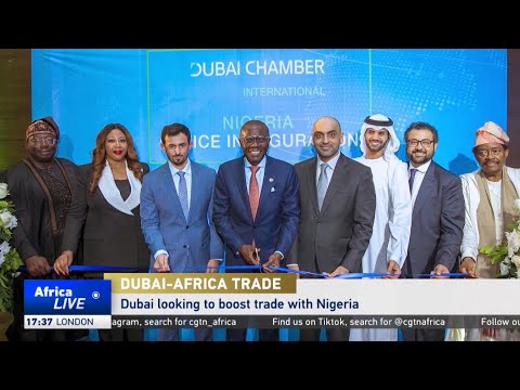 Dubai looking to boost trade with Nigeria