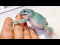 最近飼い主にベッタリなカエルが可愛すぎます