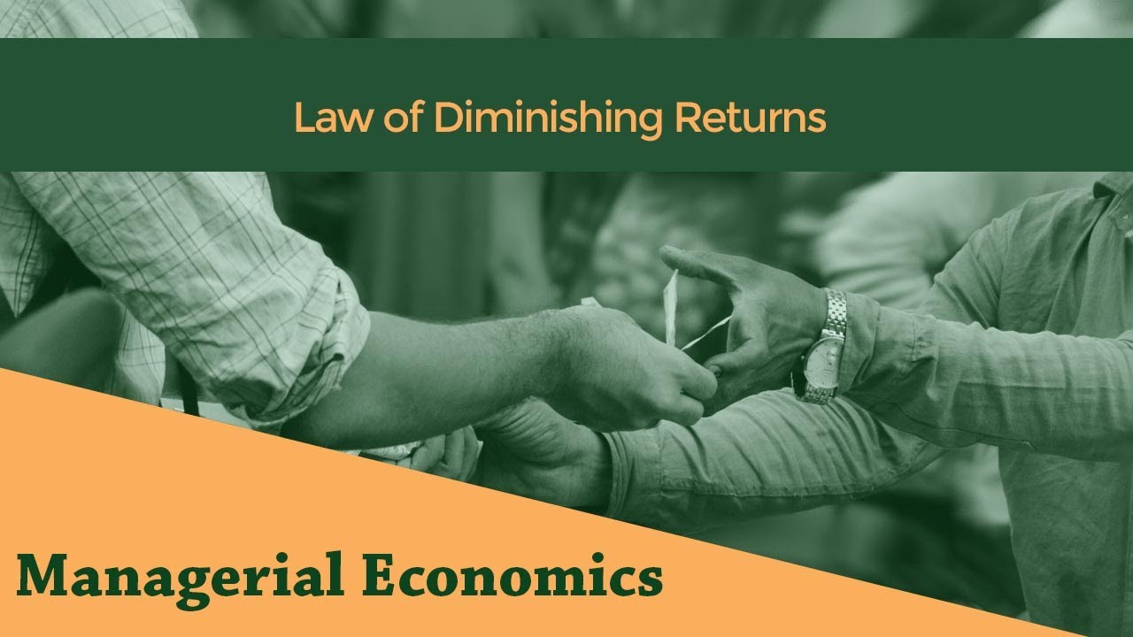 Law Of Diminishing Returns Short Run Laws Of Production Youtube