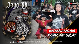 Bukan Sekadar Gerakan… Ini Kembangan Pencak Silat Asli Jawa!