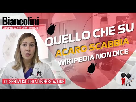 Video: La permetrina è tossica per l'uomo?