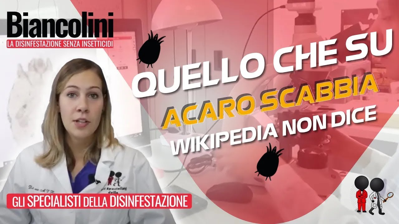 🔎​⚠️​Quello che Wikipedia non ti dice sull'acaro della scabbia