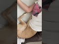 風の音にビビって飼い主の中に入ってくる雑種犬 dog hiding in clothes #shorts