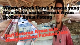 🔴 UPDATE: Harga Ayam Broiler Hari Ini, Jumat 15 Juli 2022. 