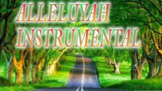 ALLELUYAH INSTRUMENTAL. chords