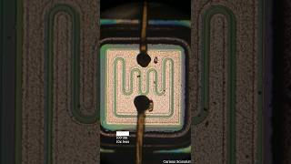 Inside of a 2N5416 #transistor #electronics #microscope
I have a bunch of old circuit boards lying around, full of transistors and other stuff, and I thought it would be fun to look at the inside of some of those components.
I grabbed my metallurgical microscope together with a mirrorless camera and recorded some footage at different magnifications.
I added scale bars so you can see how tiny those features are on this transistor.
Please dont forget to subscribe!
Join my YouTube membership: https://www.youtube.com/channel/UCKp1MzuAceJnDqAvsZl_46g/join
Check my website for more interesting content and gadgets:
https://curiousscientist.tech/tools
More high-resolution pictures:
https://curiousscientist.tech/silicon-dies Inside of a 2N5416 #transistor #electronics #microscope