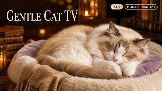 24 HOURS of Gentle Cat TV 🐾 Soft Sounds & Warm Night Ambience for Cozy Sleep screenshot 5