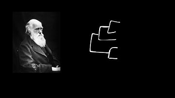 EvoBioCC Lecture on the Philosophy of Models
