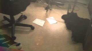 2D tracking test