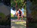 yoga handstand ajustes taller workshop #yogaasana #yogae #yogapostures