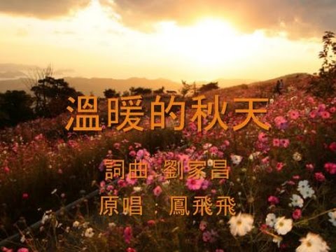 溫暖的秋天 Wen Nuan De Qiu Tian - 鳳飛飛 (lyrics)