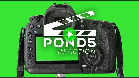 Pond5 in Action: Screen Time 🎬