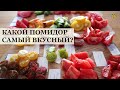 Что вкуснее: сорт или гибрид? /Дегустация 19 сортов и гибридов томатов 2020