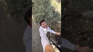 Les Juifs Vont Vivre Dans Une Cabane Pendant Une Semaine