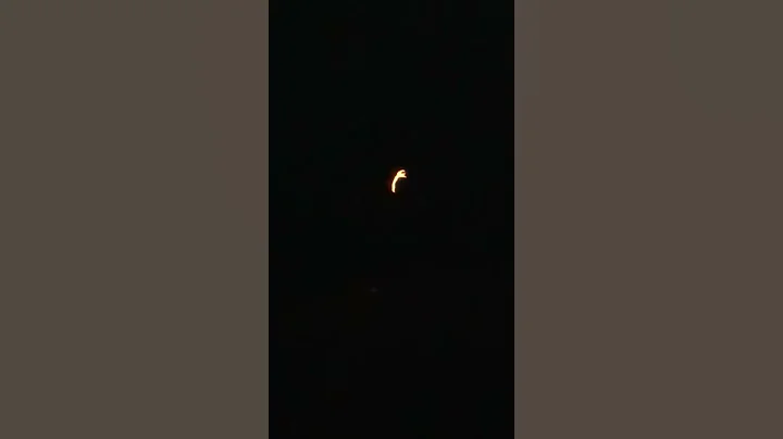 "Eclipse Fluidity" by Nancy Coleman