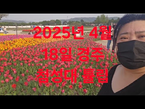 복부인 2025년 4월 18일 경주 <strong>첨성대</strong> 튤립 너무 예뻐요~