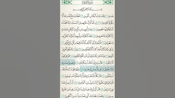 #قرآن #تلاوة_خاشعة #آيات #الله #صلوا_على_النبي #القرآن_الكريم #quran #tilawat #allah #islam