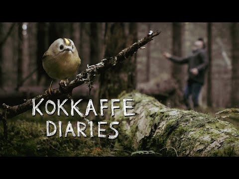 Seducing the Smallest Bird in Europe