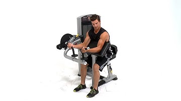 TRUE Force Biceps - Triceps