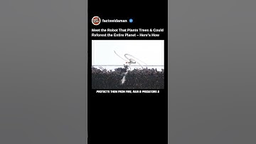 Meet The Robot That Plant Trees & Can Reforest Entire Planet. Here