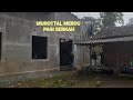 MUROTTAL MERDU PAGI HARI || qori Alaa Aqel #0079
