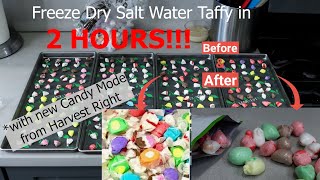Freeze Dry Candy Settings: Salt Water Taffy NEW CANDY MODE
