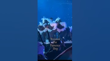 So this is how Taekook did that Transition during Black Swan