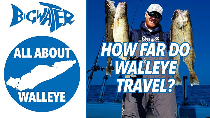 Discover the Secrets of Lake Erie's Walleye Migration