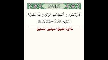 تلاوة ﴿ فَمَن يَعمَل مِنَ الصّالِحاتِ وَهُوَ مُؤمِنٌ فَلا كُفرانَ لِسَعيِهِ وَإِنّا لَهُ كاتِبونَ ﴾