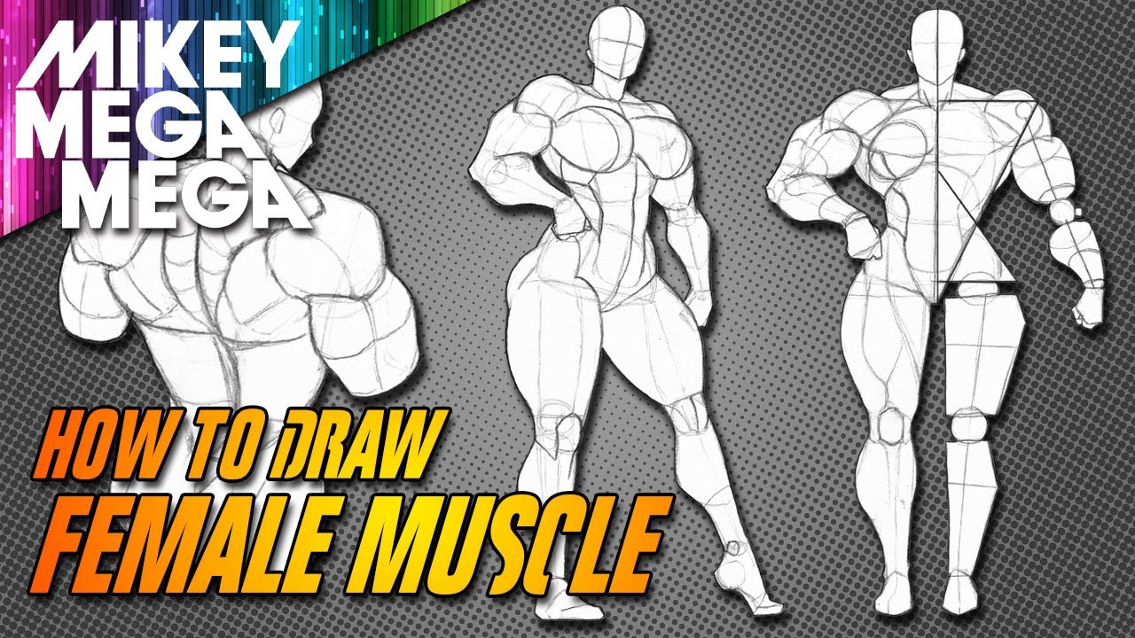 Figure Reference Female Muscle by Bambs79 on DeviantArt  Sketch book Art  reference Figure drawing reference