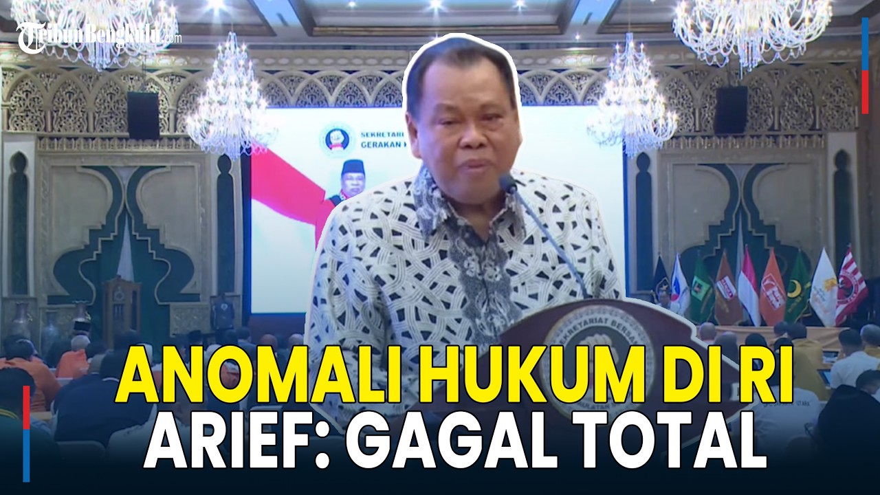 Arief Hidayat Bongkar Anomali Hukum Indonesia, Eks Hakim MK:  Sukses di Luar, Gagal Total di RI