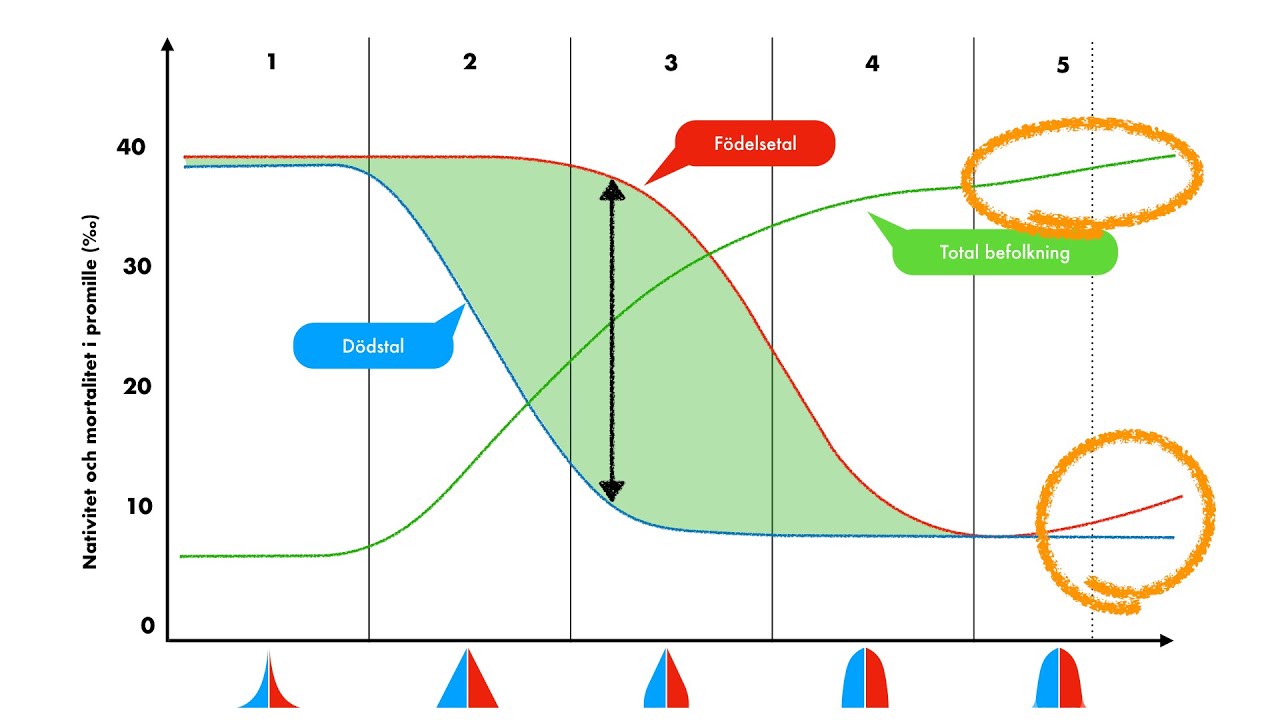 J6 - 📊 Befolkningspyramider, befolkningsutveckling och den demografiska transitionen 📊