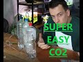 Cheap Low Budget CO2 System (DIY CO2)