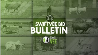 Upcoming auctions