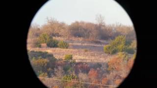 Load development for the 375 cheytac