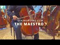 Maestro - Cello DEMO