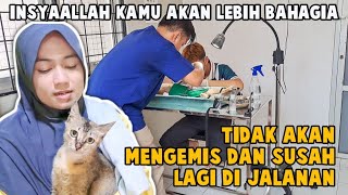 Terharu | Waktunya Steril Induk Kucing Indomaret by Bubu Story The Cat 1,756 views 6 days ago 8 minutes, 53 seconds