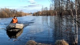 Подготовка к утиной охоте , вода препятствует....