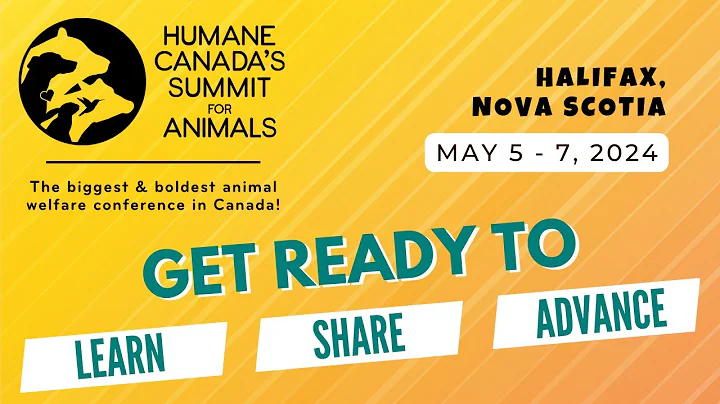 Get Excited! The 2024 Summit for Animals will be EPIC