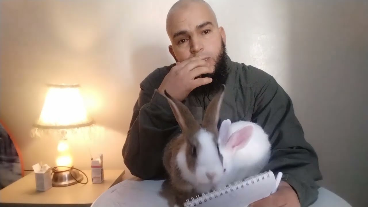 فيديو مهم في مشروع تربيه الارانب يتعلق بالاجابه على جميع تعاليق المشاهدين ادخل لتسمع اجابتك