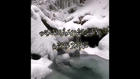 سورة التين( القارئ حسام الدين عبادي)