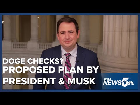 President Trump and Elon Musk propose idea to give Americans checks from a portion of DOGEs savings