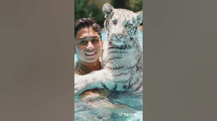 Selen belajar berenang bareng Papashad #selen #shorts