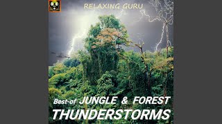 Rainforest Thunderstorm with Rain, Thunder and Jungle Animal Sounds for Sleep, Study, Relax