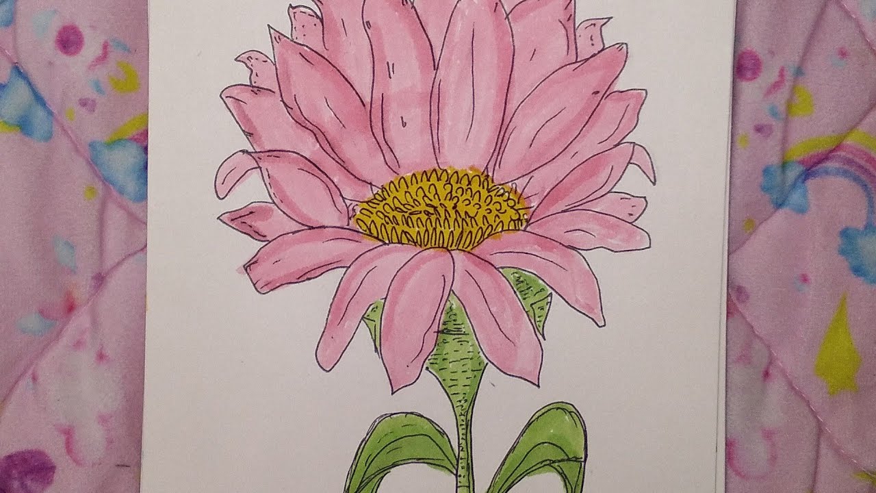 How to draw flower🌸daisy flower drawing 