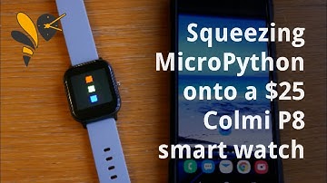 wasp-os: Installing MicroPython on a Colmi P8 smart watch using DaFlasher